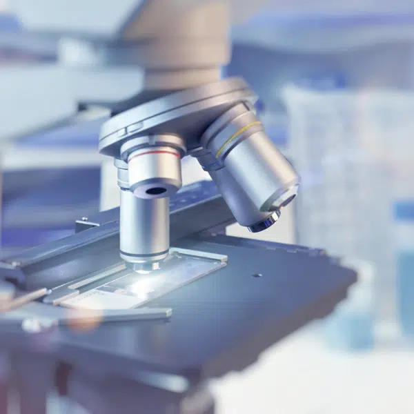 wordpress laboratorio microal