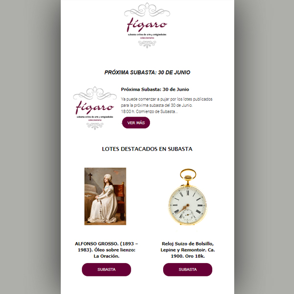 diseño web subastas figaro