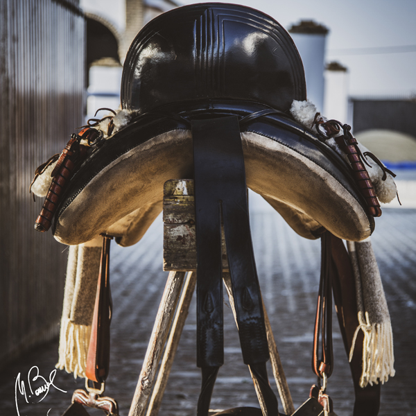 diseño prestashop para lazalea