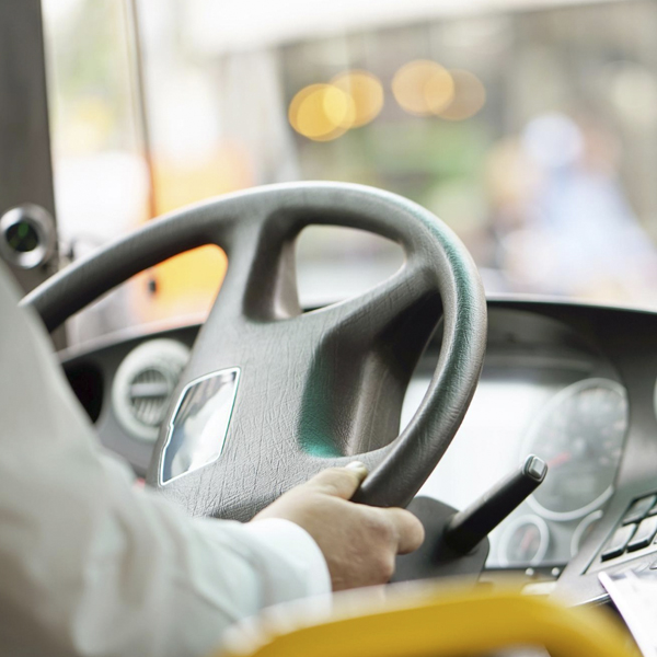 posicionameinto web grupo nael